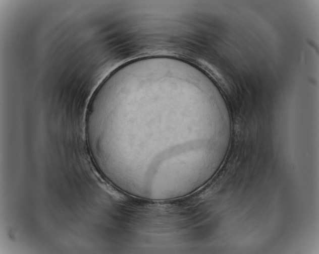 X0000090981236200708301241