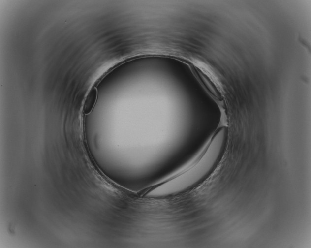 X0000090981238200708301241