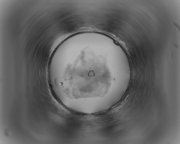 X0000090981239200708301241