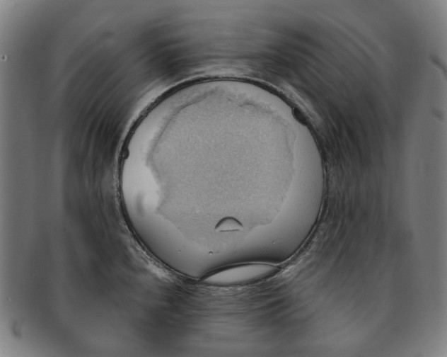 X0000090981240200708301241