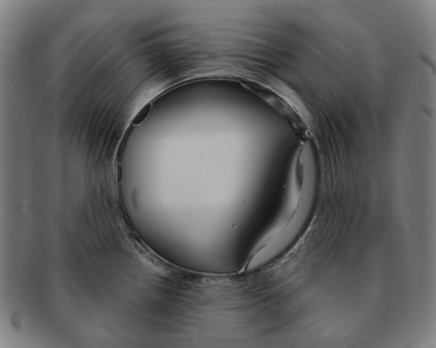 X0000090981242200708301241