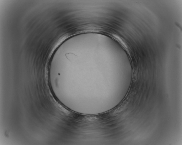 X0000090981243200708301241
