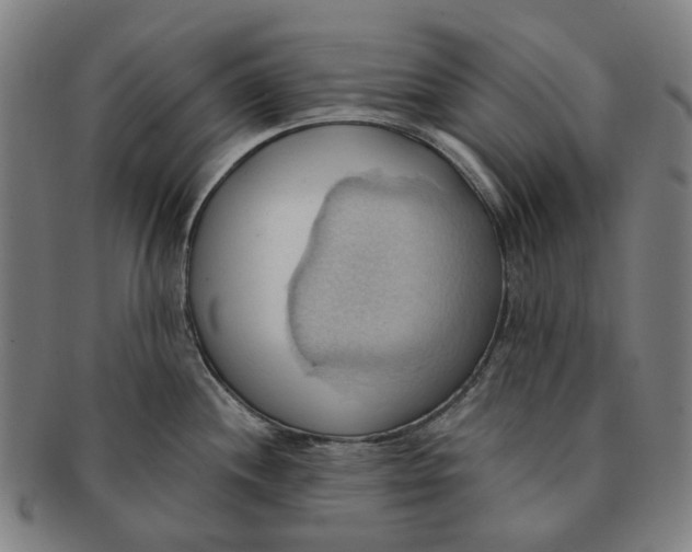 X0000090981244200708301241