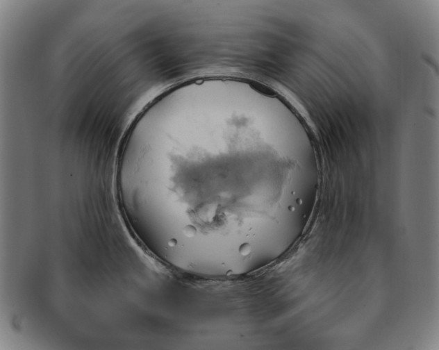 X0000090981245200708301241