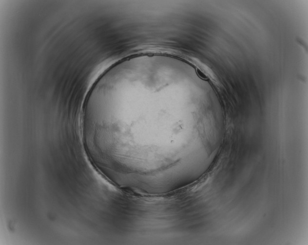 X0000090981247200708301241