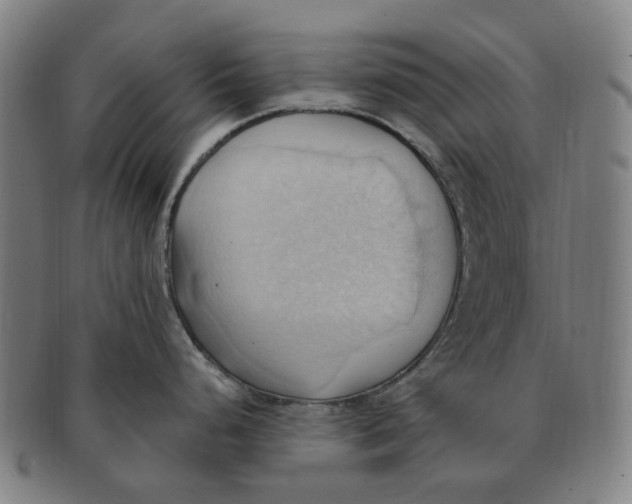 X0000090981248200708301241