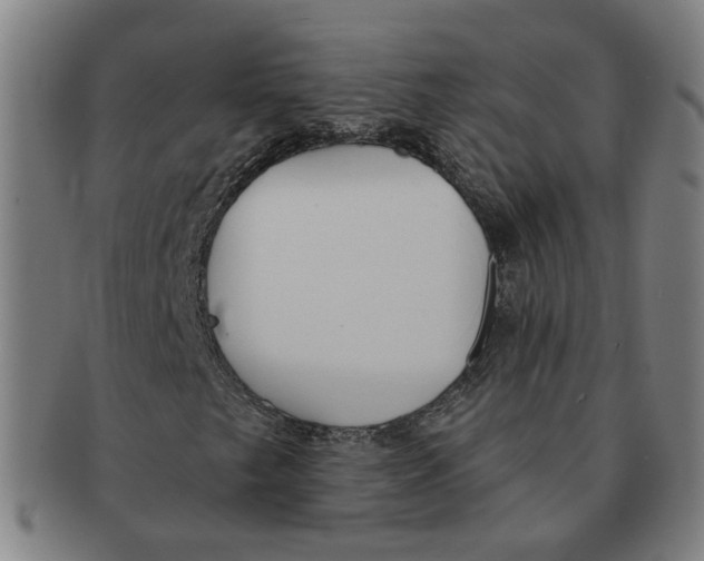 X0000090981249200708301241