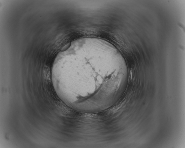 X0000090981251200708301241