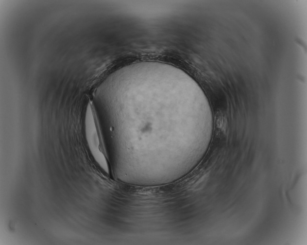 X0000090981252200708301241