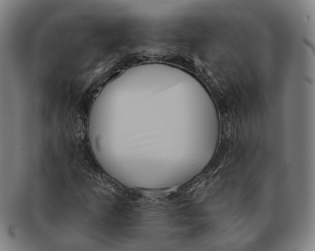 X0000090981253200708301241