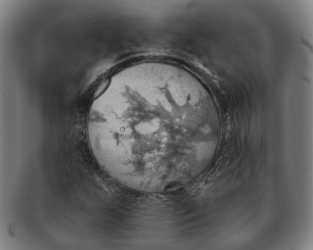 X0000090981255200708301241