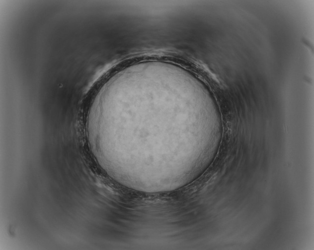 X0000090981256200708301241