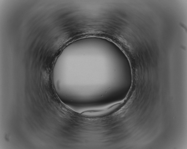 X0000090981257200708301241