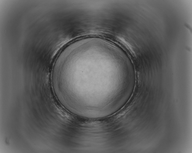 X0000090981260200708301241