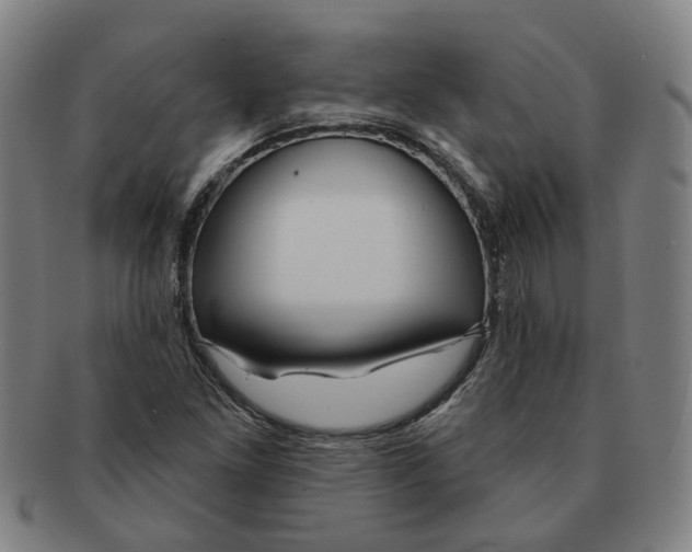 X0000090981261200708301241