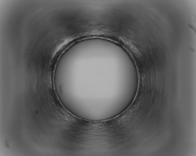 X0000090981262200708301241
