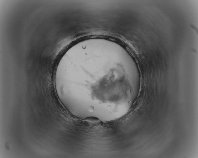X0000090981263200708301241