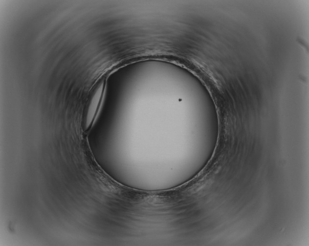X0000090981265200708301241