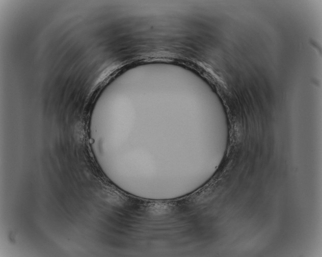 X0000090981266200708301241