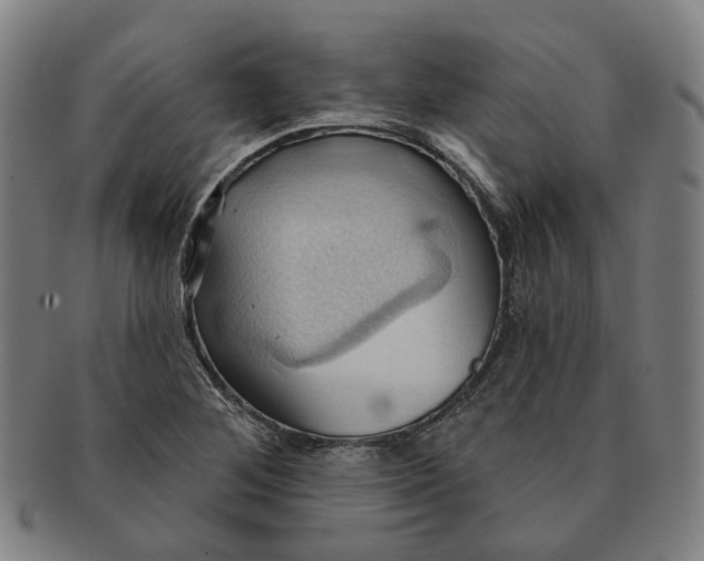 X0000090981268200708301241