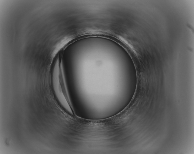 X0000090981269200708301241