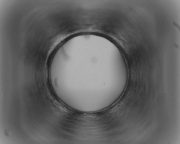 X0000090981270200708301241