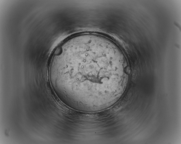 X0000090981271200708301241