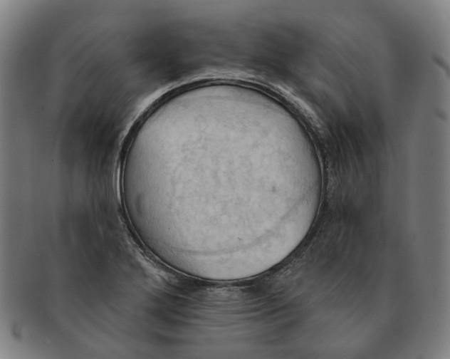 X0000090981272200708301241