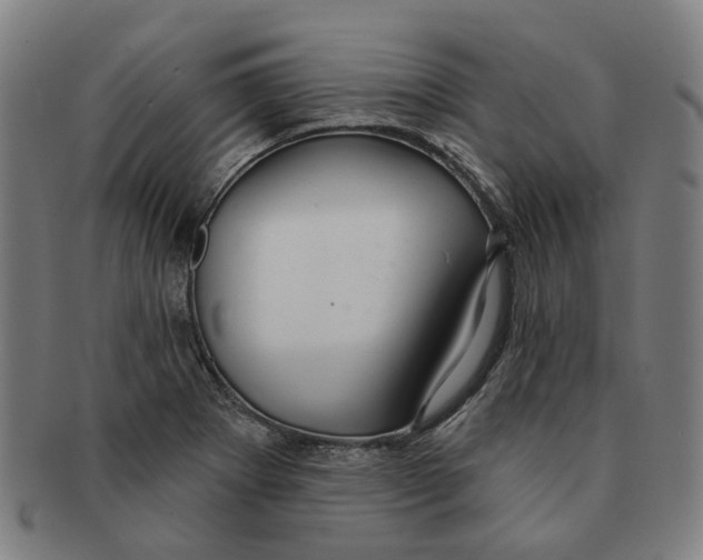 X0000090981273200708301241