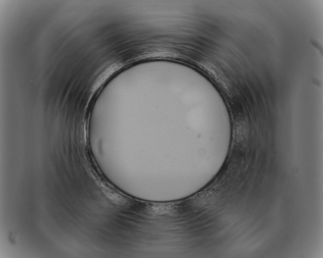 X0000090981274200708301240