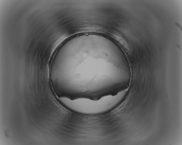 X0000090981275200708301240
