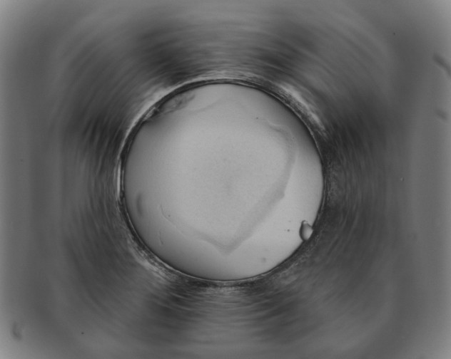 X0000090981276200708301240