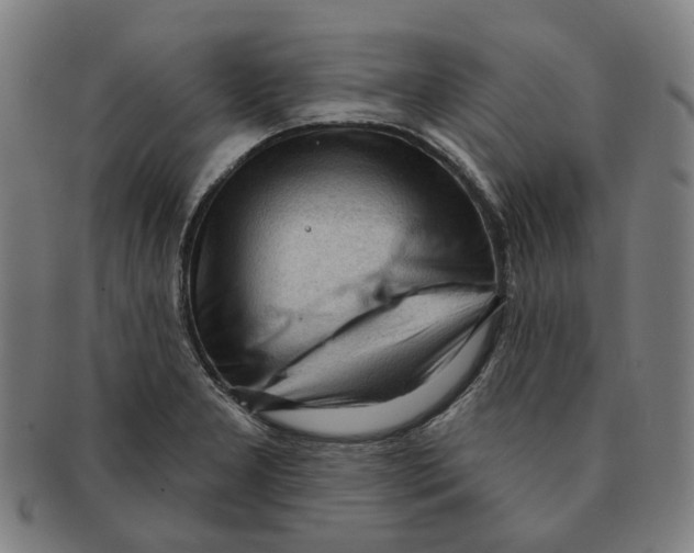 X0000090981277200708301240