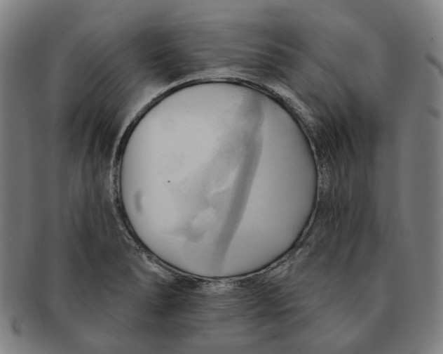 X0000090981278200708301240
