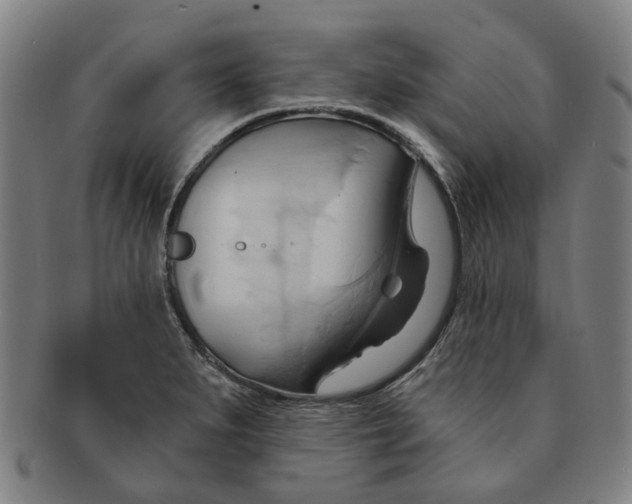X0000090981279200708301240