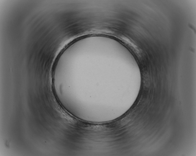 X0000090981280200708301240