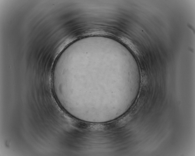X0000090981282200708301240