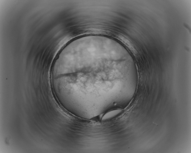 X0000090981283200708301240