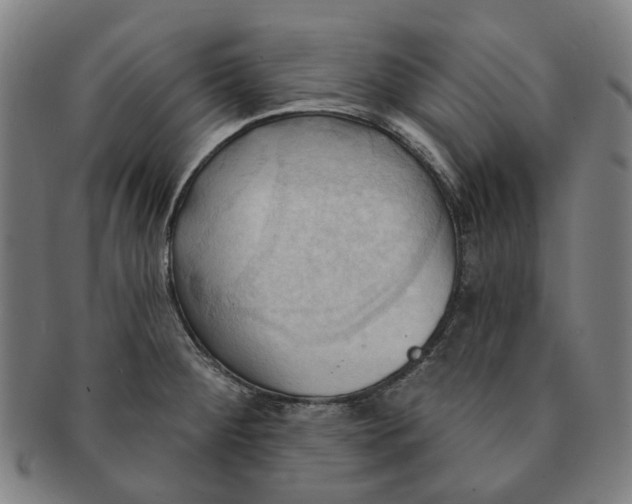 X0000090981284200708301240