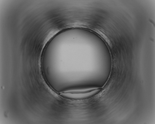X0000090981285200708301240