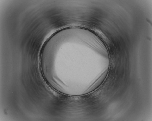 X0000090981286200708301240