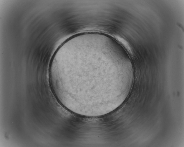 X0000090981288200708301240
