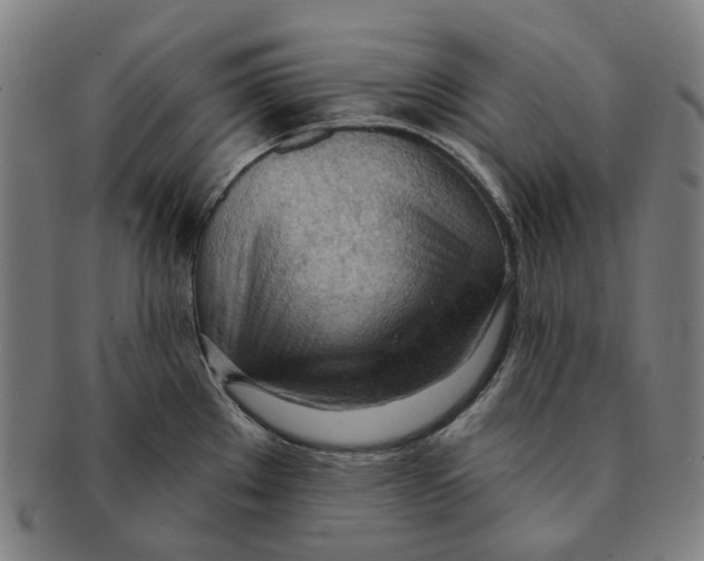 X0000090981289200708301240