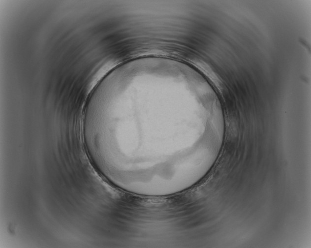 X0000090981290200708301240