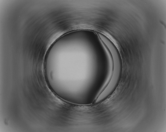 X0000090981293200708301240