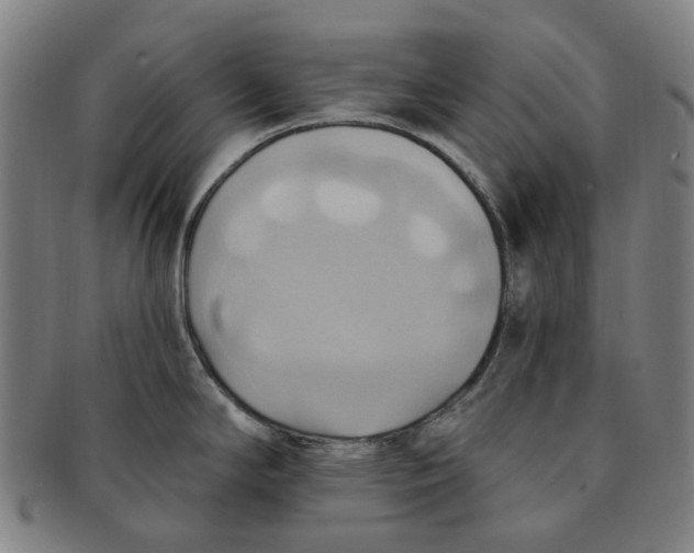 X0000090981294200708301240