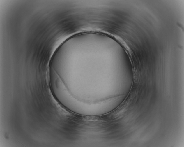 X0000090981295200708301240