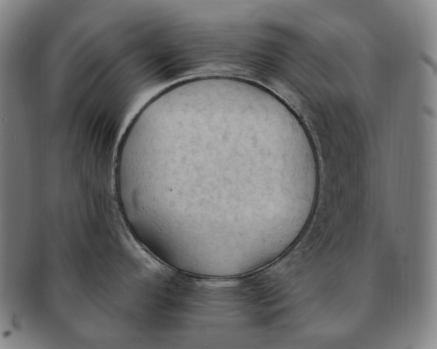 X0000090981296200708301240