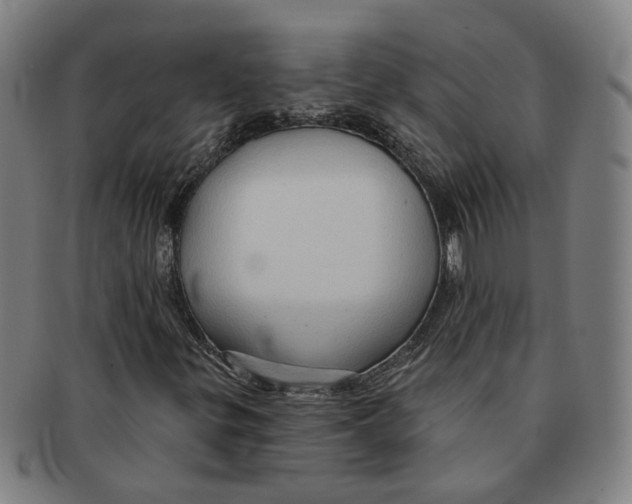 X0000090981299200708301240