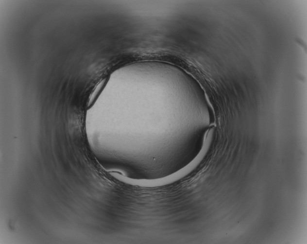 X0000090981300200708301240